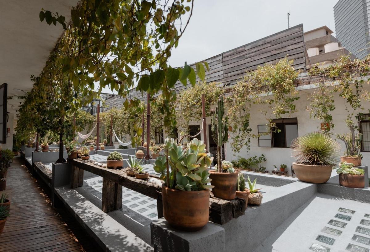 Casa Lomah Hotel 墨西哥城 外观 照片
